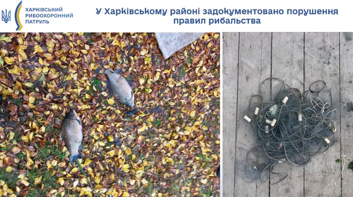 На Харківщині вилучили сітку з льоси та незаконно виловлену рибу
